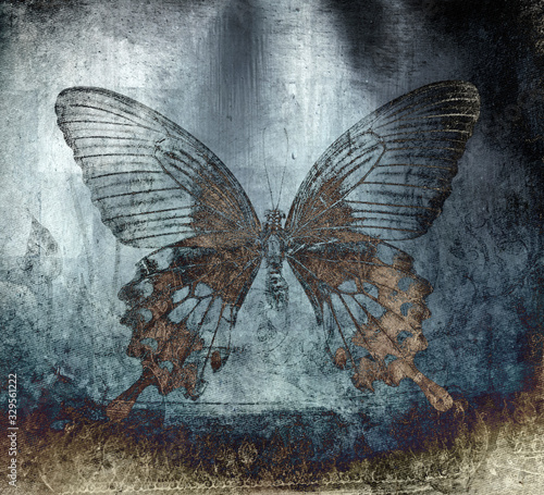 grunge  butterfly background