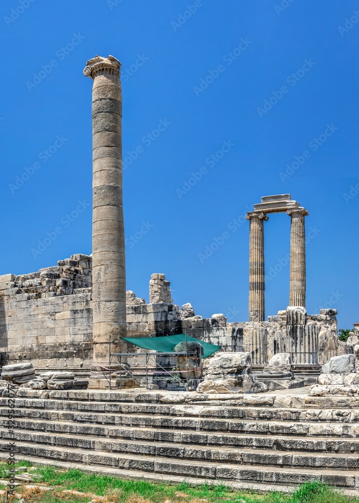 Ionic Columns in the Temple of Apollo at Didyma, Turkey