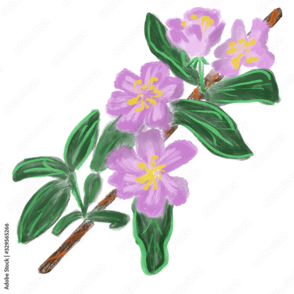 Naklejka premium watercolor branch of apple flowers isolated on white. Mug design. Print, packaging, stationery, fabric, textile design