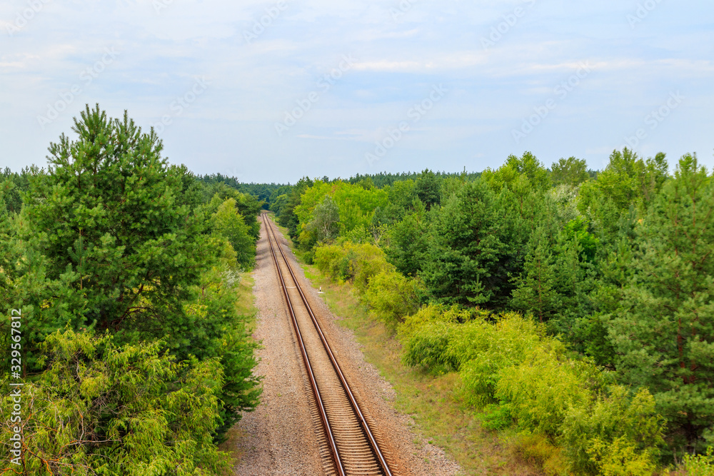 Obraz premium Aerial view of railroad track through a green pine forest
