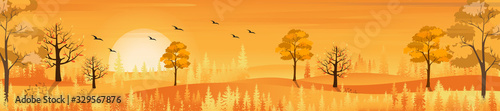 Fototapeta Panoramic of Countryside landscape in autumn, Vector illustration of horizontal banner of autumn landscape mountains and maple trees fallen with yellow foliage.