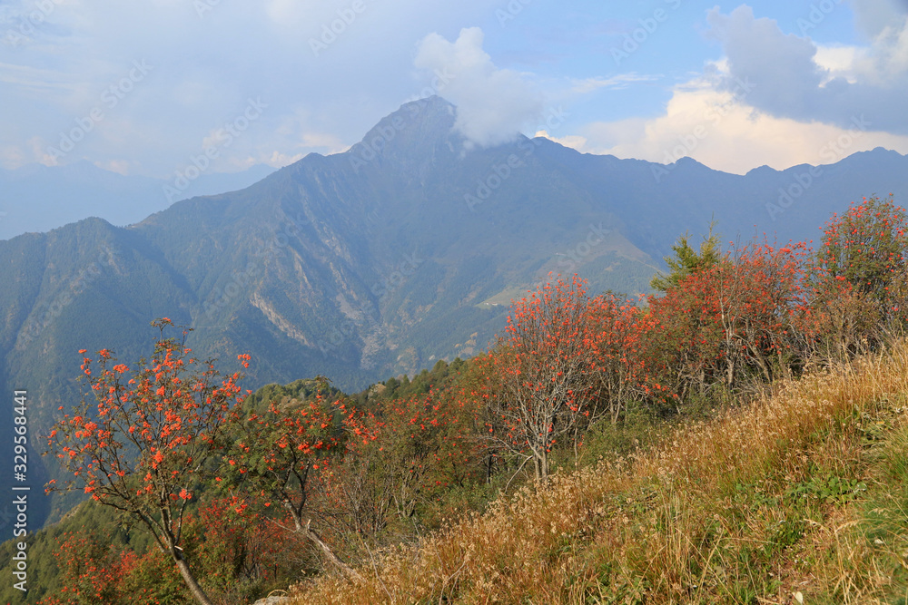 Bergamasque Alps, view from Mt. Muggio, Bergamasque Alps, Italy