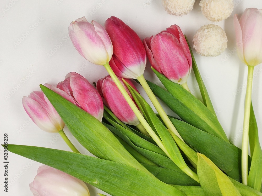 a bouquet of pink and red tulips lies in the isolate a bouquet of pink and red tulips lies in the isolate