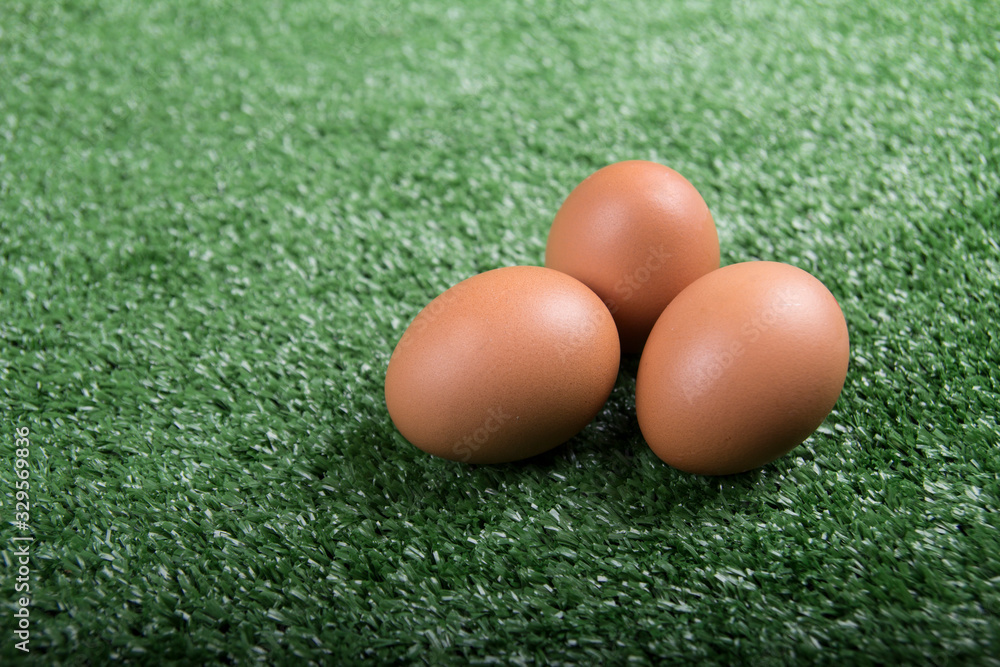 some eggs on the tray on blackboard background some eggs on the tray on blackboard background
