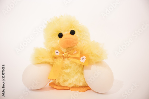 Chick and Egg on white background. Easter theme