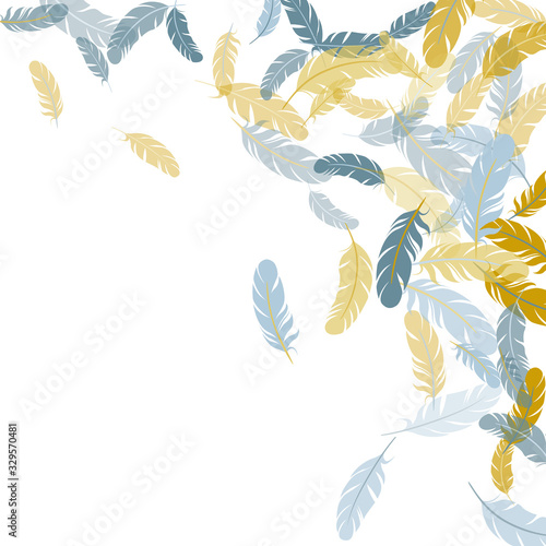 Detailed majestic feather on white design.