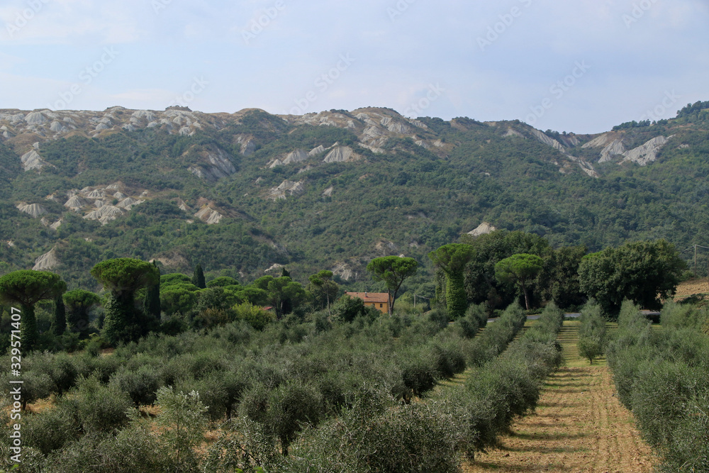 Typical landscape of the Val d’Orcia, Tuscany, Italy