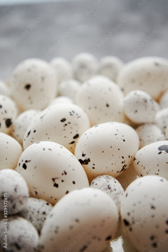 Close up composition of white traditional chicken and quail, black dotted Easter eggs Close up composition of white traditional chicken and quail, black dotted Easter eggs