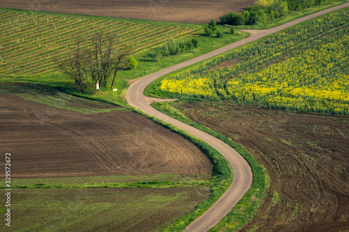 Moravian fields at spring near Karlin village, Hodonin, Czech Republic