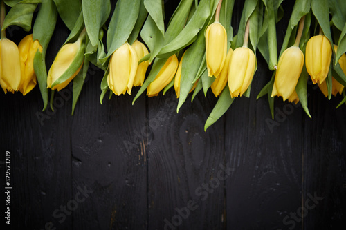 Beautiful yellow tulips on black rustic wooden background. Top view