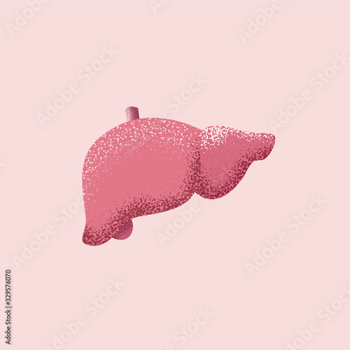 Vector illustration of the human liver isolated on pink background. Medical illustration for blog or social network post or banner.