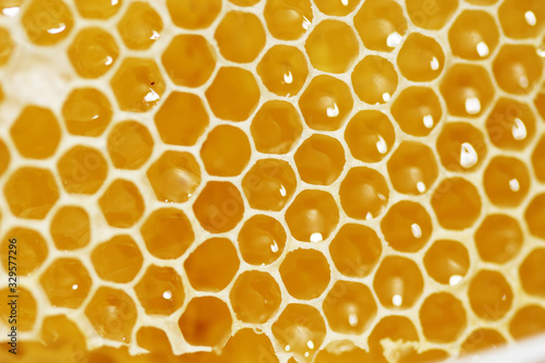 Honeycomb with liquid honey
