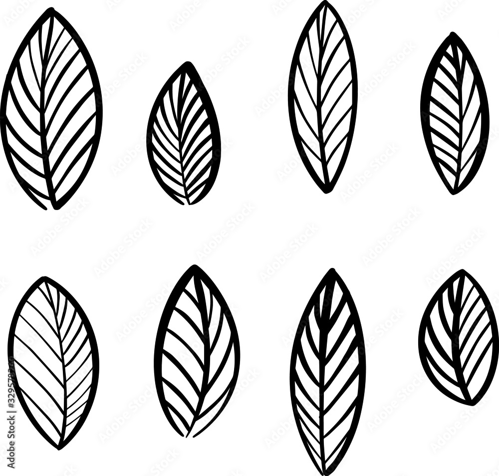 set of hand drawn plant leaves on a white background in Doodle style set of hand drawn plant leaves on a white background in Doodle style