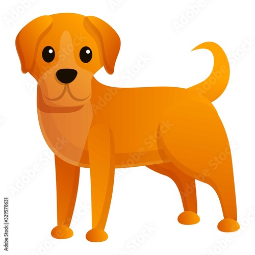 Homeless dog icon. Cartoon of homeless dog vector icon for web design isolated on white background
