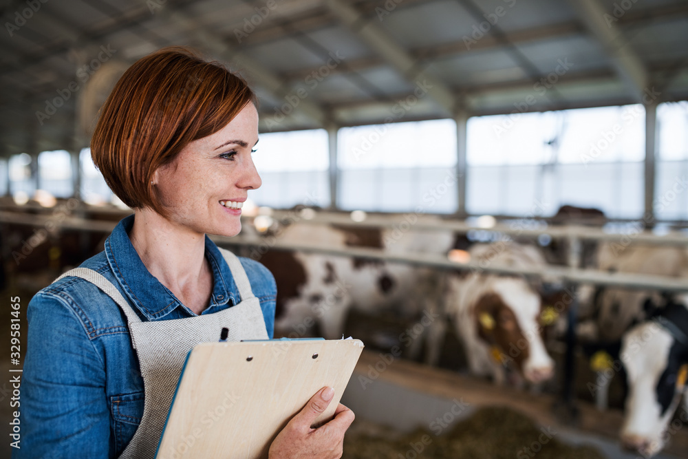 Woman manager with clipboard working on diary farm, agriculture industry. Woman manager with clipboard working on diary farm, agriculture industry.
