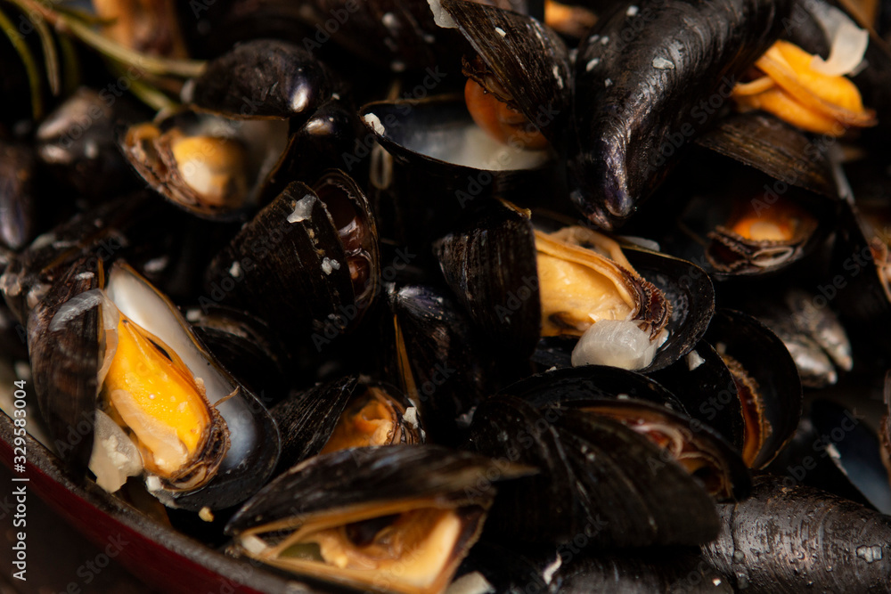 Cooked fresh mussels