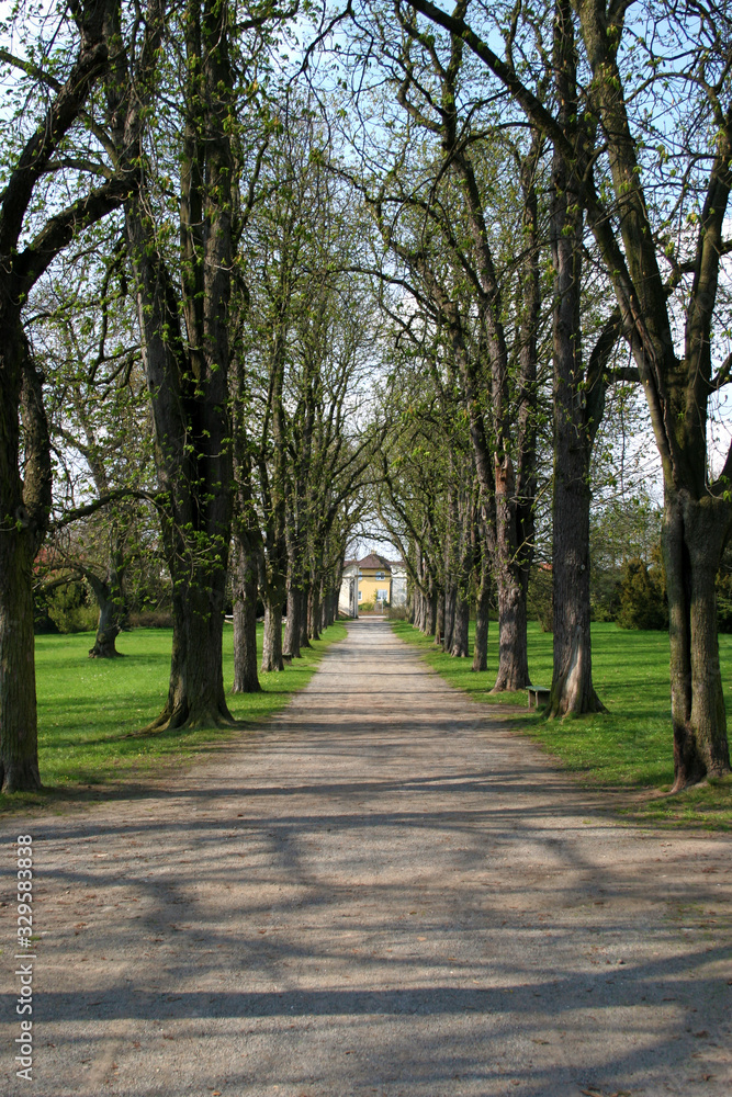 alley in the park