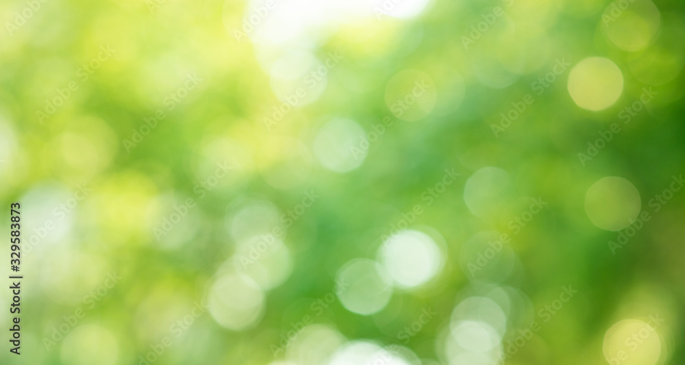 Blurred bokeh of tree garden in morning background,spring summer season or green concept