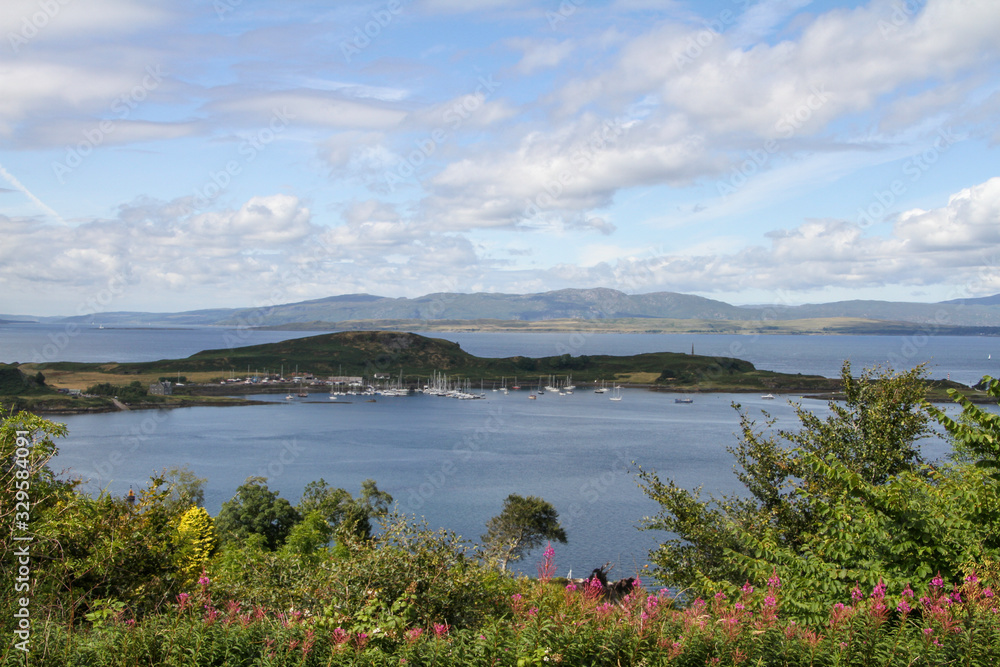 dock for sailing boats on the large lake with flowers in the foreground dock for sailing boats on the large lake with flowers in the foreground