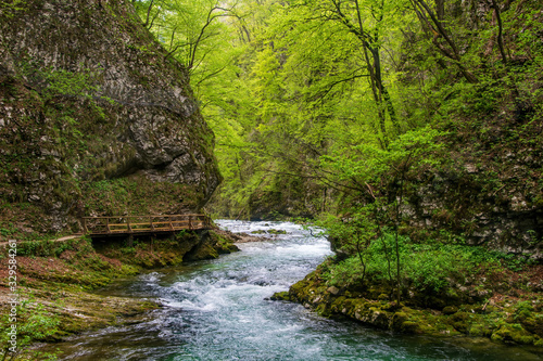Mountain winding stream flowing through Vintgar gorge, Slovenia