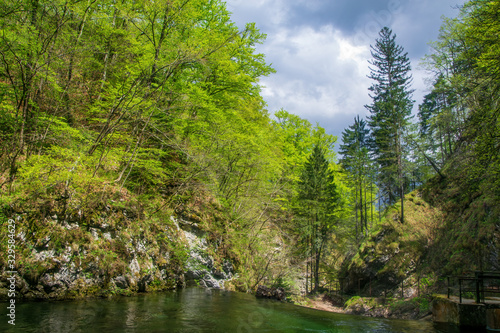 Vintgar gorge, beauty of nature, with river Radovna flowing through it, Triglav National park, Slovenia