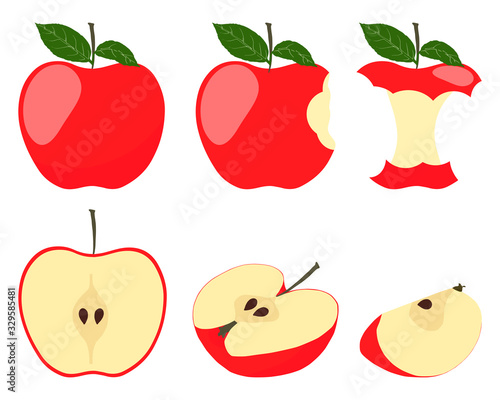 Vector illustration of red apple. Sliced apple isolated on white background