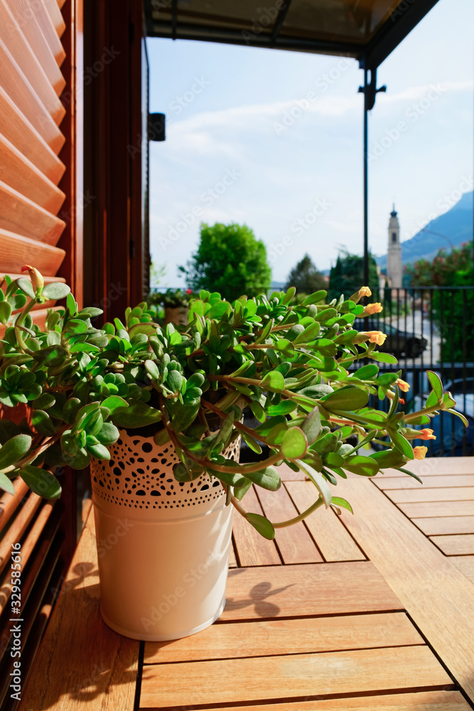 Fototapeta premium Flower pot on table at balcony veranda in Italy