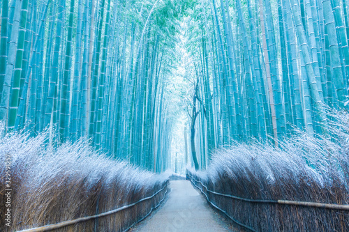 竹林の雪景色ー嵐山