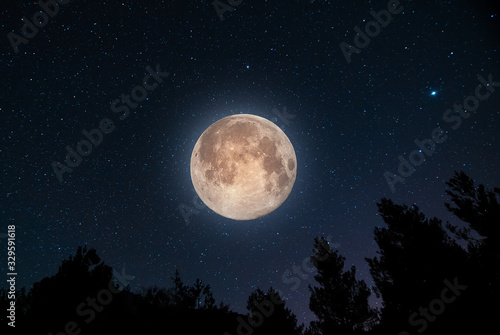 Close-up full moon on the starry sky background and forest trees. Night landscape.