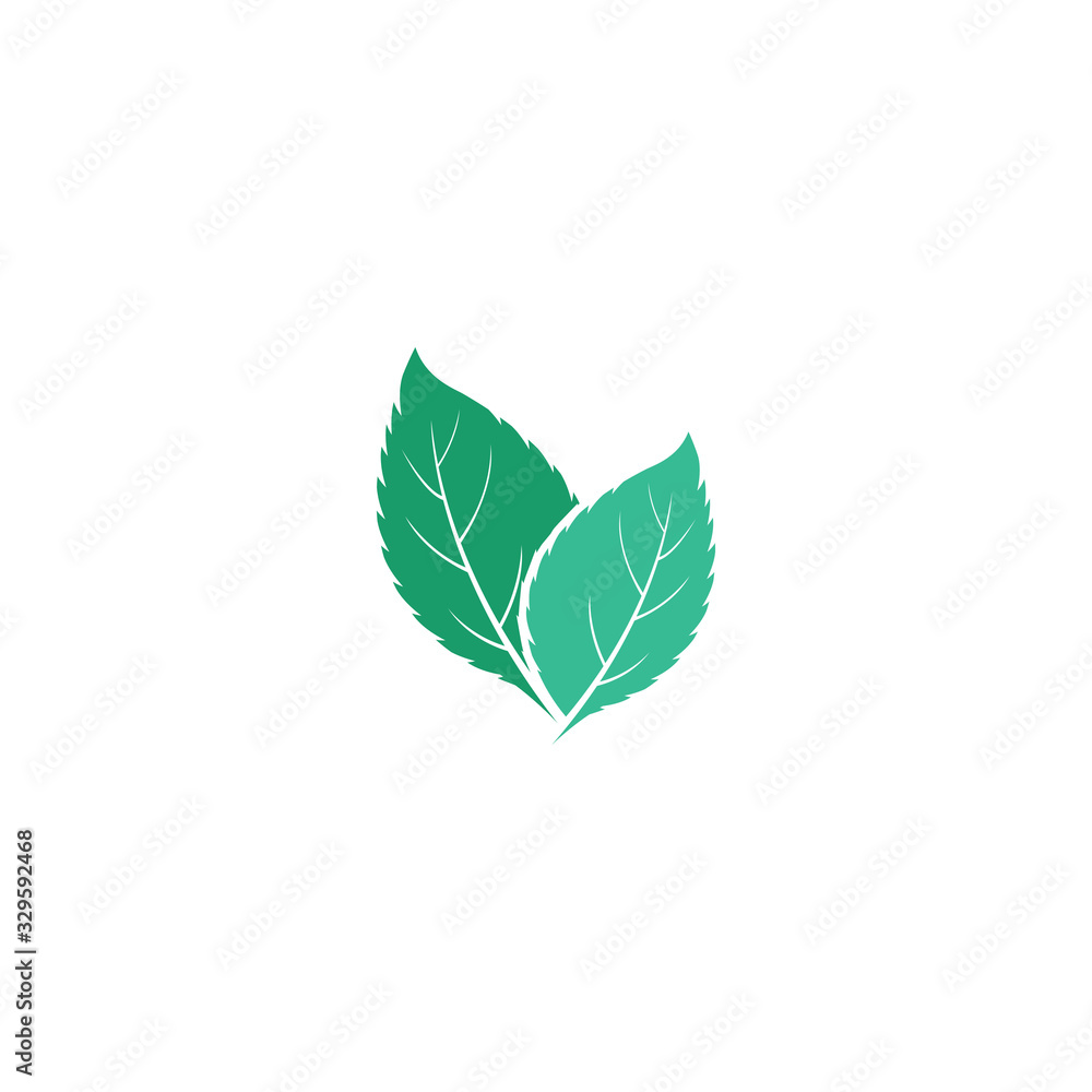 Fototapeta premium Leaf Mint Logo Template vector symbol