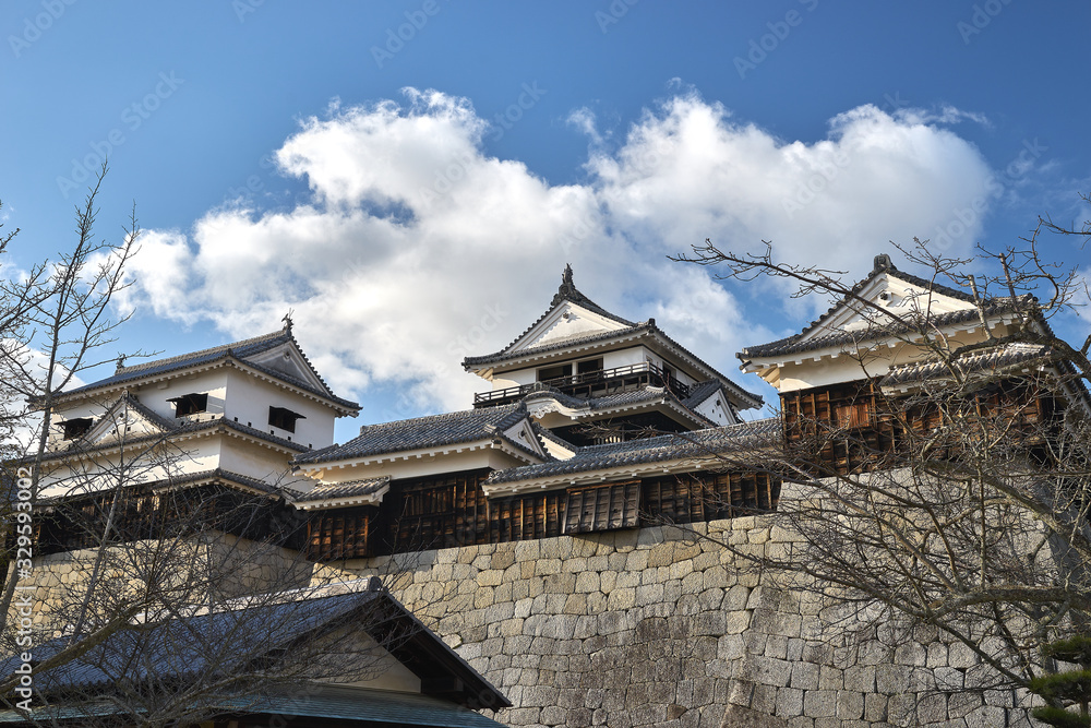 愛媛県松山市の観光スポット、松山城。 青い空と白い雲。 この城は日本城の1つです。 愛媛県松山市で撮影。