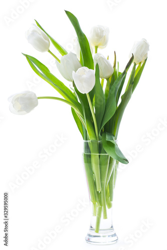 beautiful bouquet of white tulips on white background