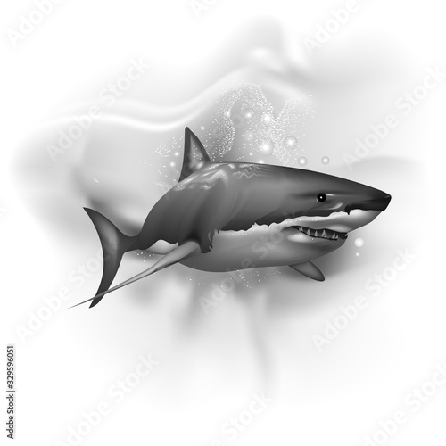 Realistic shark in the ocean. Wall stickers. Tattoo