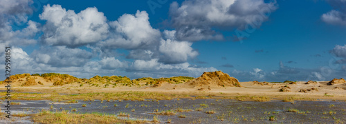 Dünenlandschaft auf Rømø in Dänemark