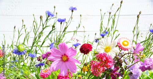 Summer background - colorfu...