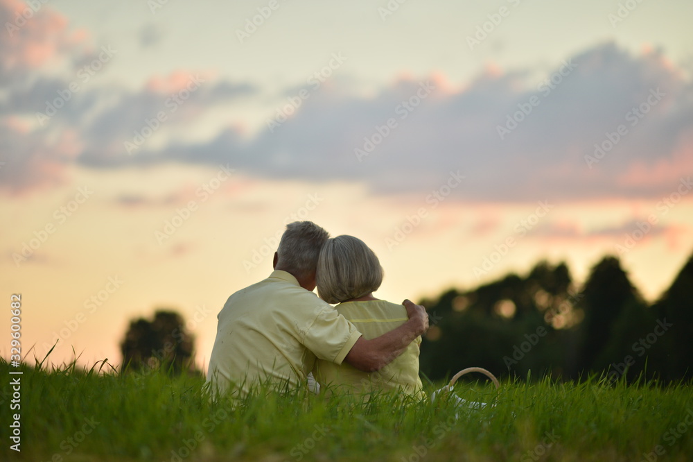 Portrait of happy senior couple in summer park