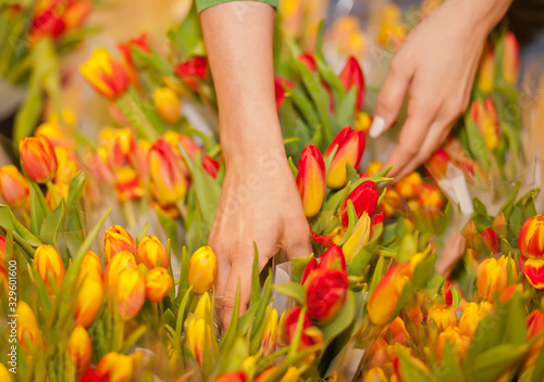 Young woman picks tulips in the store