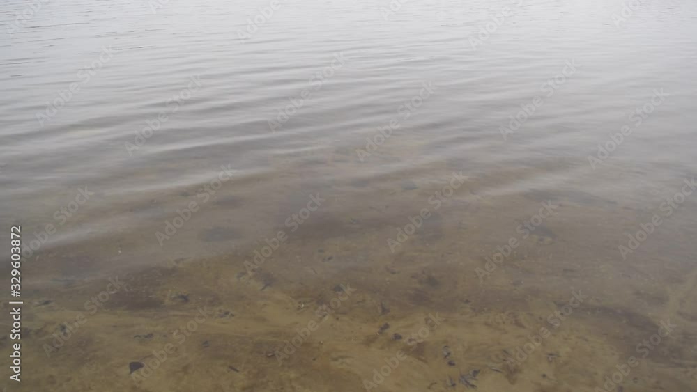Background of brown water in the river. Water Background of brown water in the river. Water