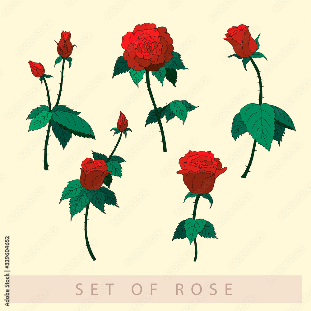 Set of red roses vector illustration