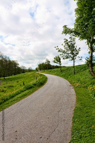 Country Road at Spring