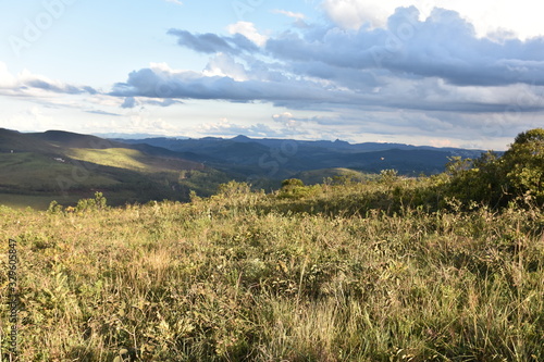 Green and sunny grass with mountains in the background