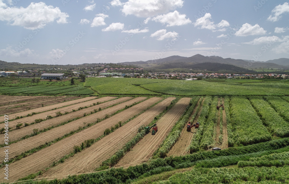 Vue aérienne de la récolte de la canne à sucre en Martinique