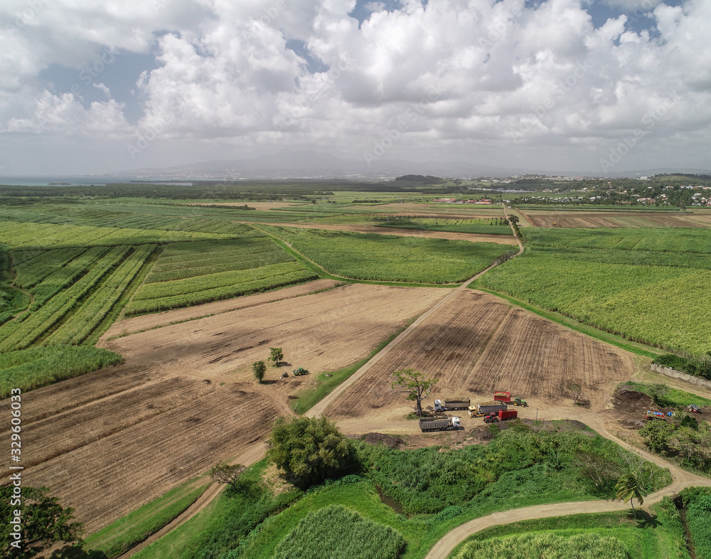 Vue aérienne de la récolte de la canne à sucre en Martinique
