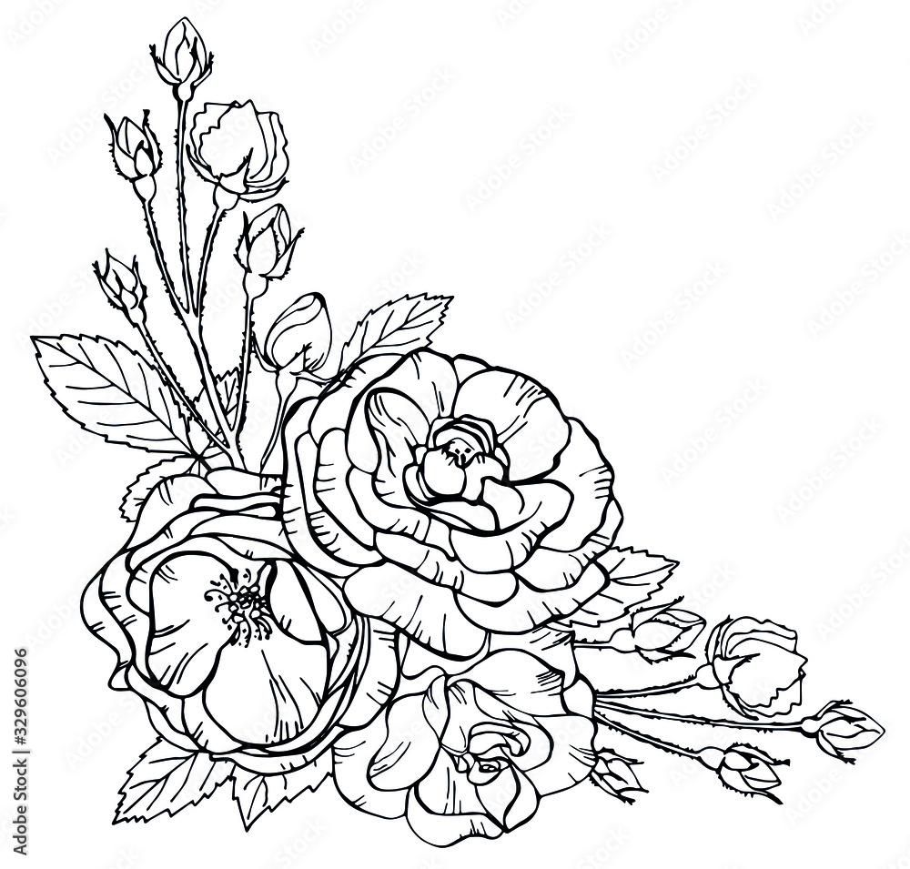 Bouquet of roses flowers isolated on white background. Vector illustration. Perfect for invitations, greeting cards, postcard, print, fashion design. All elements are isolated and editable.