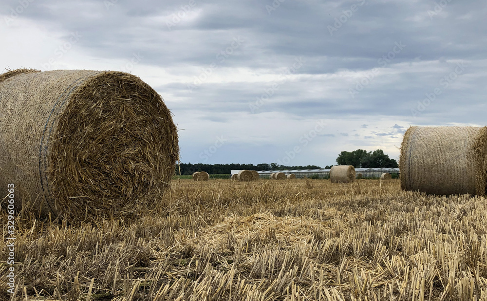 Summer storm looms over harvested hay field with hay bales in the Kempen area, Belgium