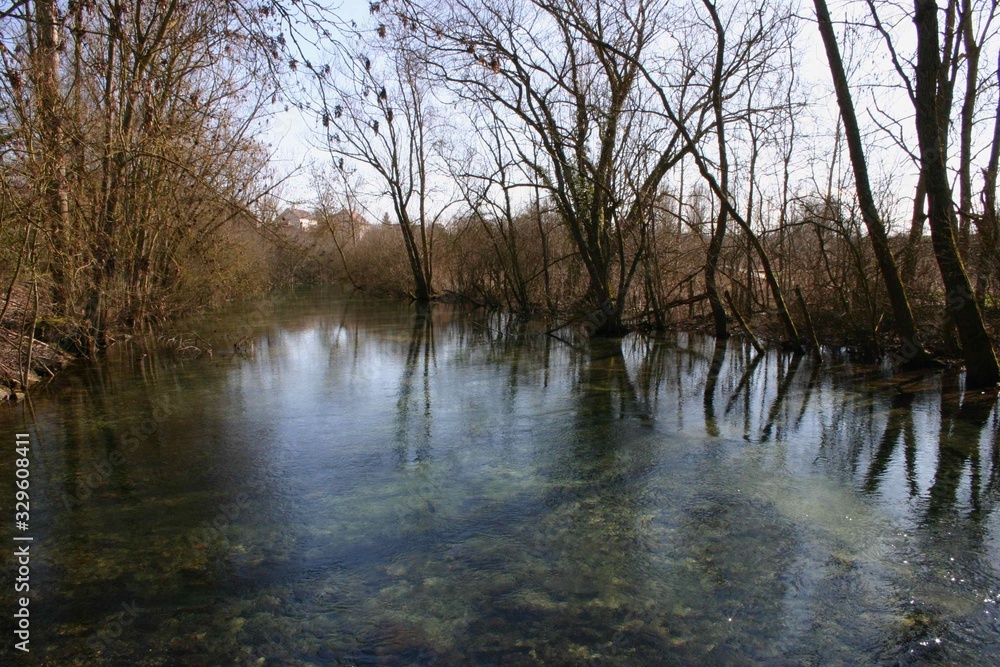 Obraz premium Pond in Winter