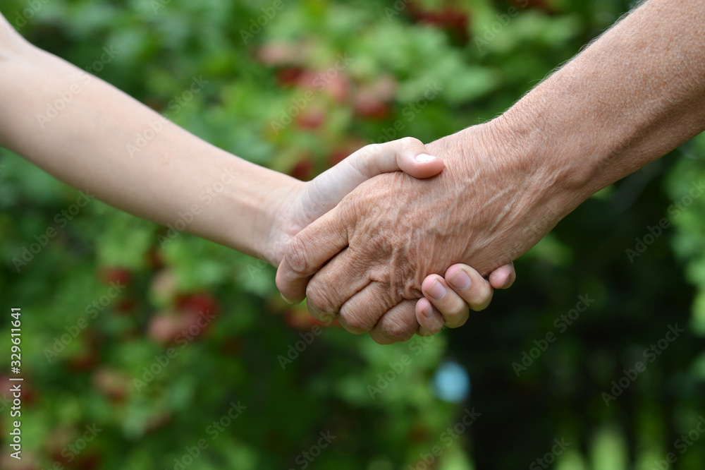 Portrait of granddaughter and grandmother holding hands outdoors Portrait of granddaughter and grandmother holding hands outdoors