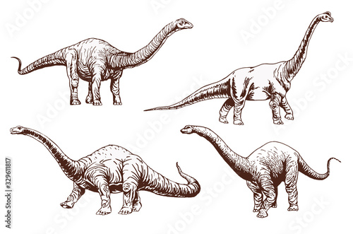 Vintage set of diplodocus  ,sepia vector illustration, dinosaur