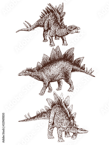 Vintage set of stegosauruses  ,sepia vector illustration, dinosaur