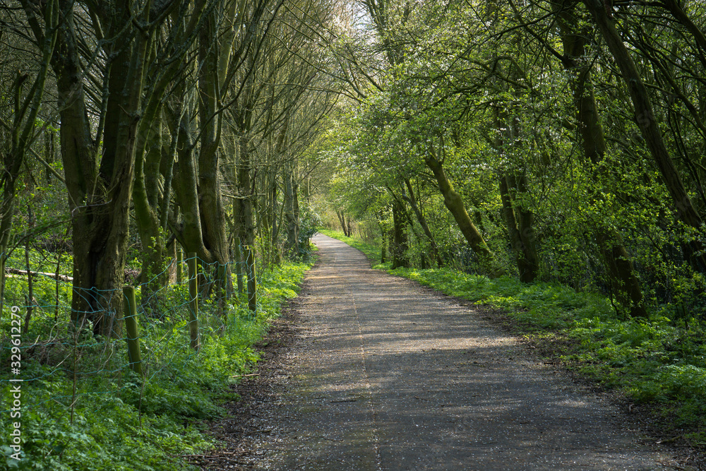 Fototapeta premium Walking path in spring